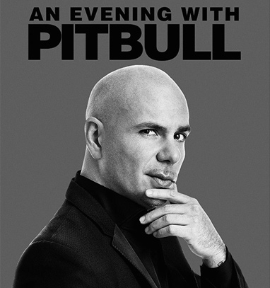 pitbull (1)